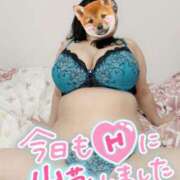 ヒメ日記 2024/12/13 10:20 投稿 みあ 豊満倶楽部