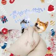 ヒメ日記 2024/12/14 22:20 投稿 みあ 豊満倶楽部