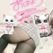 ヒメ日記 2025/01/12 06:40 投稿 みあ 豊満倶楽部