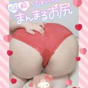 ヒメ日記 2025/02/10 12:16 投稿 みあ 豊満倶楽部