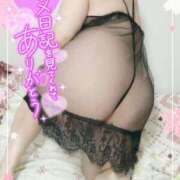 ヒメ日記 2025/03/03 10:00 投稿 みあ 豊満倶楽部