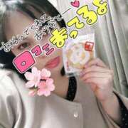 ヒメ日記 2025/04/06 00:01 投稿 みあ 豊満倶楽部