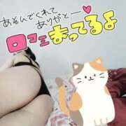 ヒメ日記 2025/04/12 01:20 投稿 みあ 豊満倶楽部