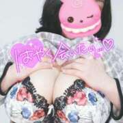 ヒメ日記 2025/04/18 14:00 投稿 みあ 豊満倶楽部