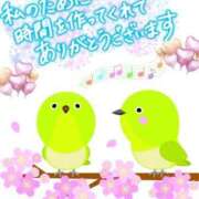 ヒメ日記 2025/04/20 07:26 投稿 みあ 豊満倶楽部