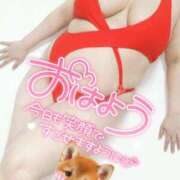 ヒメ日記 2025/04/21 06:00 投稿 みあ 豊満倶楽部