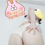 ヒメ日記 2025/04/28 06:00 投稿 みあ 豊満倶楽部