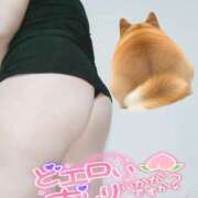 ヒメ日記 2025/05/11 06:00 投稿 みあ 豊満倶楽部