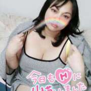 ヒメ日記 2025/06/12 10:20 投稿 みあ 豊満倶楽部