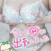 ヒメ日記 2025/06/28 10:20 投稿 みあ 豊満倶楽部