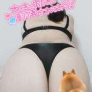 ヒメ日記 2025/08/11 11:51 投稿 みあ 豊満倶楽部