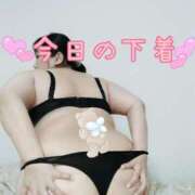 ヒメ日記 2025/08/11 15:42 投稿 みあ 豊満倶楽部