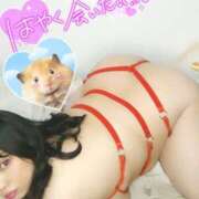 ヒメ日記 2025/08/21 13:50 投稿 みあ 豊満倶楽部