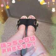 ヒメ日記 2025/09/12 15:50 投稿 みあ 豊満倶楽部