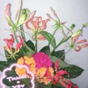 ヒメ日記 2025/09/14 01:20 投稿 みあ 豊満倶楽部