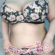 ヒメ日記 2025/09/27 14:40 投稿 みあ 豊満倶楽部