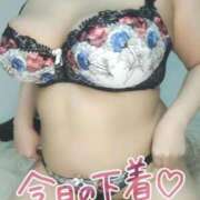 ヒメ日記 2025/10/15 16:02 投稿 みあ 豊満倶楽部