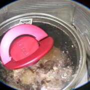 ヒメ日記 2025/10/22 18:50 投稿 みあ 豊満倶楽部