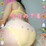 ヒメ日記 2025/10/24 16:50 投稿 みあ 豊満倶楽部