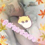 ヒメ日記 2025/10/30 18:47 投稿 みあ 豊満倶楽部