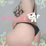 ヒメ日記 2025/11/01 13:56 投稿 みあ 豊満倶楽部