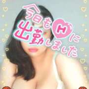 ヒメ日記 2025/11/12 14:00 投稿 みあ 豊満倶楽部