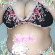 ヒメ日記 2025/11/20 14:50 投稿 みあ 豊満倶楽部