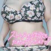 ヒメ日記 2025/11/24 11:20 投稿 みあ 豊満倶楽部