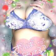 ヒメ日記 2025/11/28 18:31 投稿 みあ 豊満倶楽部