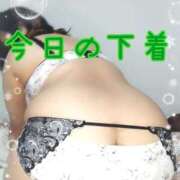 ヒメ日記 2025/12/25 15:40 投稿 みあ 豊満倶楽部