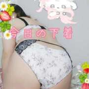 ヒメ日記 2026/01/15 19:30 投稿 みあ 豊満倶楽部