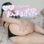 ヒメ日記 2026/01/17 23:30 投稿 みあ 豊満倶楽部