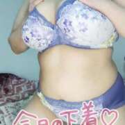 ヒメ日記 2026/02/06 11:20 投稿 みあ 豊満倶楽部