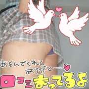 ヒメ日記 2026/02/07 01:40 投稿 みあ 豊満倶楽部