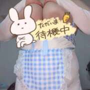 ヒメ日記 2026/03/03 13:37 投稿 みあ 豊満倶楽部