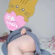 ヒメ日記 2026/03/05 10:20 投稿 みあ 豊満倶楽部