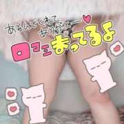 ヒメ日記 2026/03/23 02:40 投稿 みあ 豊満倶楽部