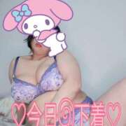 ヒメ日記 2026/03/23 11:00 投稿 みあ 豊満倶楽部