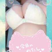 ヒメ日記 2026/04/11 11:20 投稿 みあ 豊満倶楽部