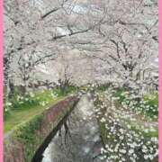 ヒメ日記 2025/04/07 20:33 投稿 澪(みお) 相模原人妻城