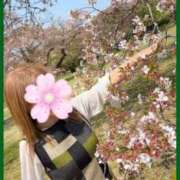 ヒメ日記 2026/01/18 07:57 投稿 澪(みお) 相模原人妻城