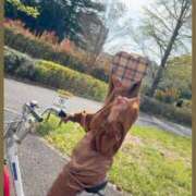 ヒメ日記 2026/01/29 20:48 投稿 澪(みお) 相模原人妻城