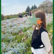 ヒメ日記 2026/04/05 09:03 投稿 澪(みお) 相模原人妻城