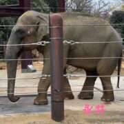 ヒメ日記 2025/01/19 23:20 投稿 永井 上野CLUB A(クラブ エー)