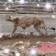 ヒメ日記 2025/02/15 13:00 投稿 永井 上野CLUB A(クラブ エー)