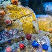 ヒメ日記 2025/10/15 08:01 投稿 永井 上野CLUB A(クラブ エー)