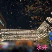 ヒメ日記 2025/11/24 14:01 投稿 永井 上野CLUB A(クラブ エー)