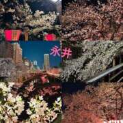 ヒメ日記 2026/04/06 19:00 投稿 永井 上野CLUB A(クラブ エー)