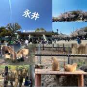 ヒメ日記 2026/04/07 12:01 投稿 永井 上野CLUB A(クラブ エー)