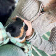 ヒメ日記 2025/01/23 20:15 投稿 水嶋　ねね 快楽園 大阪梅田